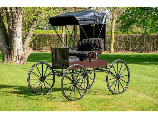 Doctor’s buggy /physician's phaeton - afbeelding 12 van  26