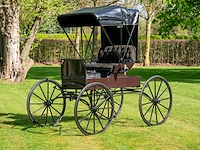 Doctor’s buggy /physician's phaeton - afbeelding 12 van  26