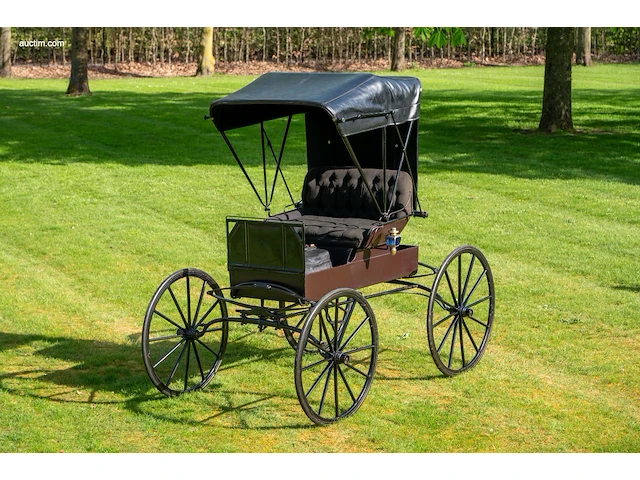 Doctor’s buggy /physician's phaeton - afbeelding 20 van  26