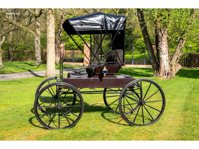 Doctor’s buggy /physician's phaeton - afbeelding 21 van  26
