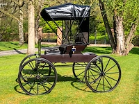 Doctor’s buggy /physician's phaeton - afbeelding 21 van  26