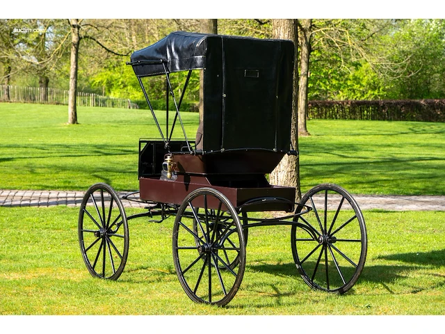 Doctor’s buggy /physician's phaeton - afbeelding 23 van  26