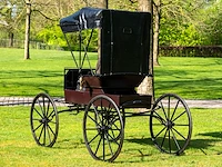 Doctor’s buggy /physician's phaeton - afbeelding 23 van  26