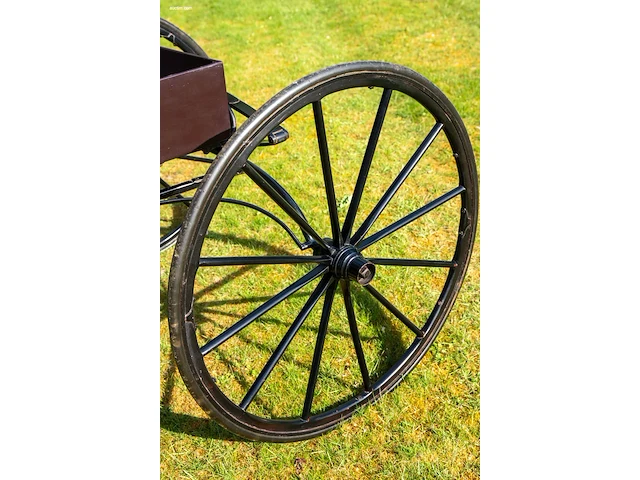 Doctor’s buggy /physician's phaeton - afbeelding 26 van  26