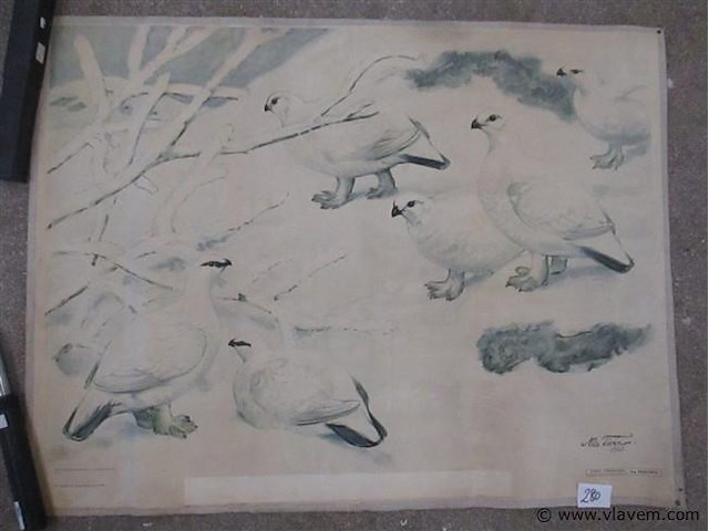 Doek - afbeelding 1 van  4