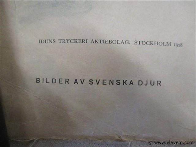 Doek - afbeelding 3 van  4