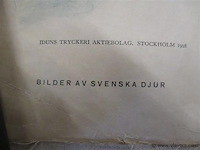 Doek - afbeelding 3 van  4