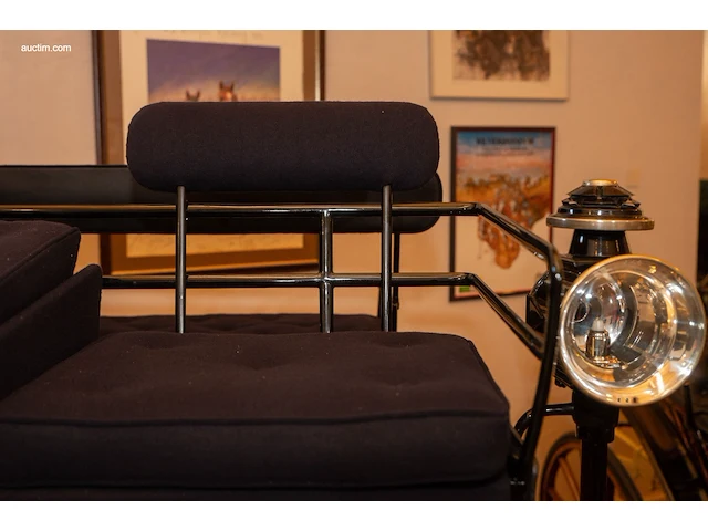 Dogcar / phaeton - afbeelding 11 van  21