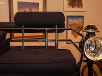 Dogcar / phaeton - afbeelding 11 van  21