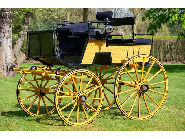 Dogcar / phaeton - afbeelding 1 van  21