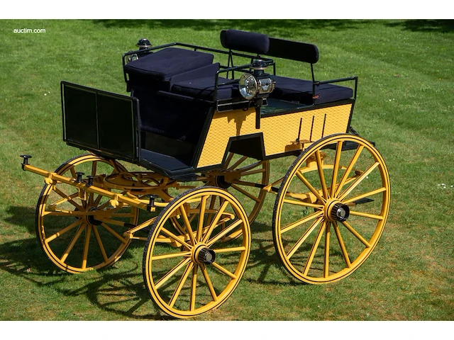 Dogcar / phaeton - afbeelding 12 van  21