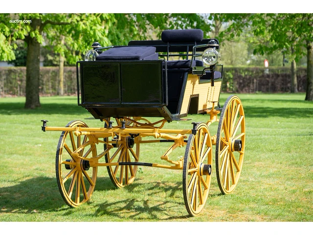 Dogcar / phaeton - afbeelding 15 van  21