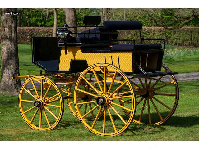 Dogcar / phaeton - afbeelding 17 van  21