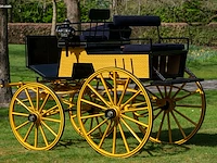 Dogcar / phaeton - afbeelding 17 van  21