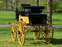 Dogcar / phaeton - afbeelding 18 van  21