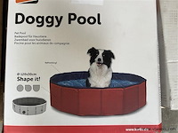 Doggy pool