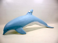 Dolfijn groot