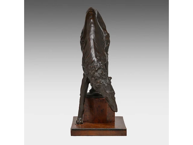 Domien ingels (1881-1946), barzoi, patinated bronze on a burr wood base, by vindevogel foundry 26.5 cm. (10.42 in.) - afbeelding 3 van  8