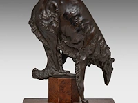 Domien ingels (1881-1946), barzoi, patinated bronze on a burr wood base, by vindevogel foundry 26.5 cm. (10.42 in.) - afbeelding 4 van  8