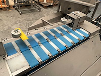 Doms overige verpakkingsmachines - afbeelding 7 van  9