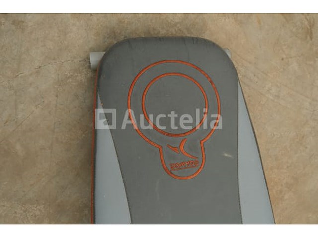 Domyos pa660 abdominale oefenbank - afbeelding 1 van  5
