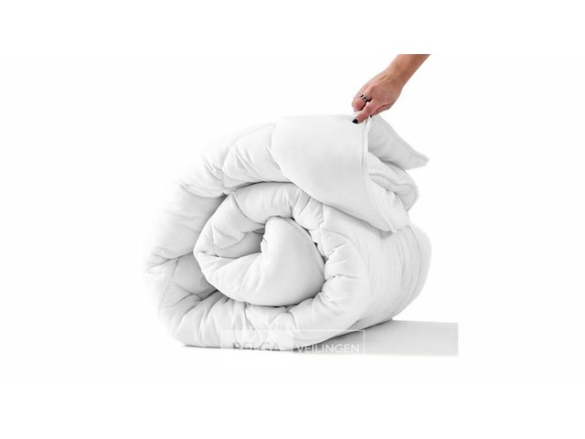 Donsdekbed100% veren - afbeelding 1 van  3
