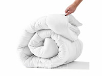 Donsdekbed100% veren - afbeelding 1 van  3