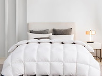 Donzen dekbed (240 x 260 cm) - afbeelding 1 van  4