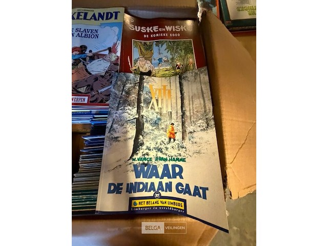 Doos stripboeken - afbeelding 9 van  11