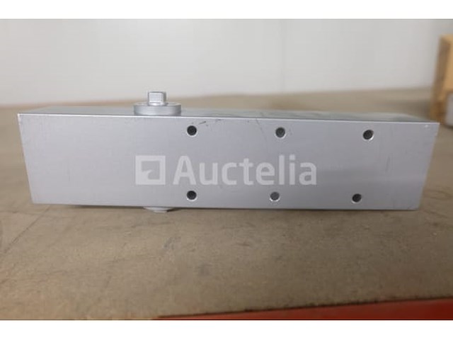 Dorint handmatige automatische deursluiter - afbeelding 5 van  5