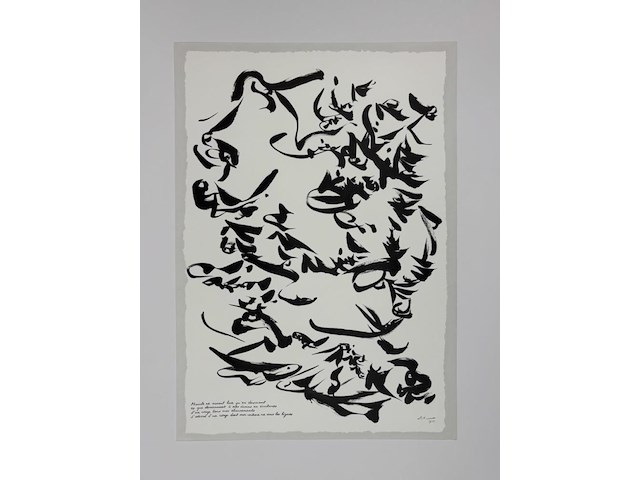 Dotremont - gelimiteerde editie - afbeelding 1 van  1