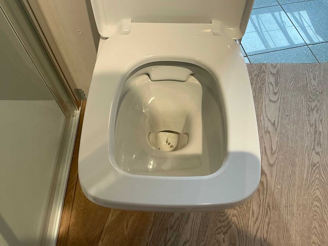 Douchecabine en toilet - afbeelding 6 van  6