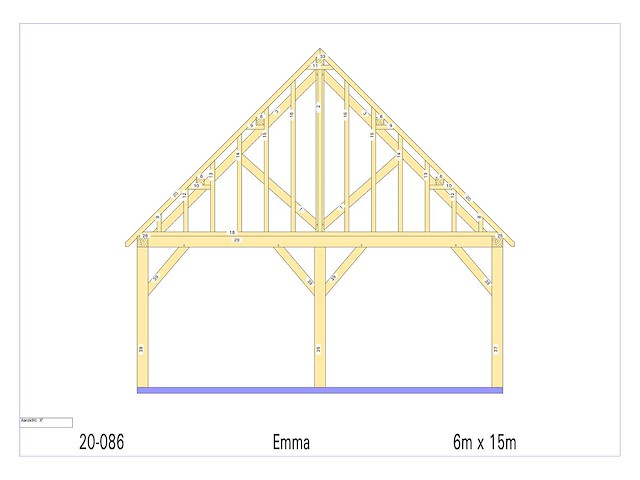 Douglas carport 6x15 - afbeelding 12 van  15