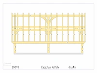 Douglas kap-schuur/poolhouse 4x6 - afbeelding 13 van  17