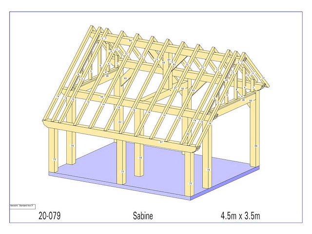 Douglas kapschuur/poolhouse 3,5 x 4,5 - afbeelding 13 van  15