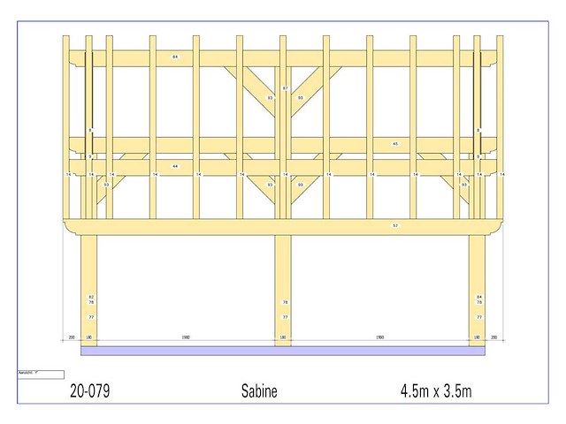 Douglas kapschuur/poolhouse 3,5 x 4,5 - afbeelding 3 van  6