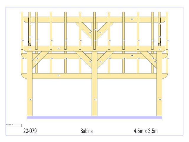 Douglas kapschuur/poolhouse 3,5 x 4,5 - afbeelding 15 van  15