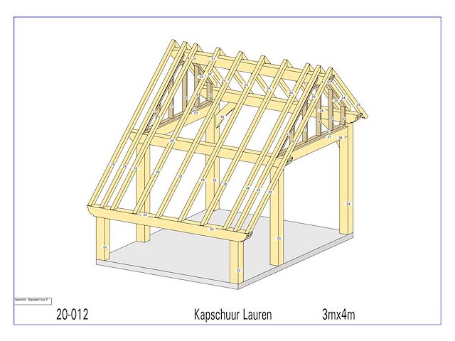 Douglas kapschuur/poolhouse 3x4 - afbeelding 7 van  12