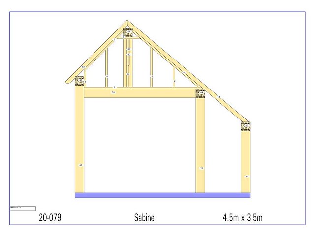 Douglas kapschuur/poolhouse - afbeelding 13 van  15