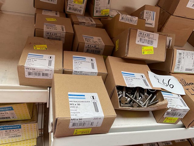 Dozen inox bouten - afbeelding 7 van  8