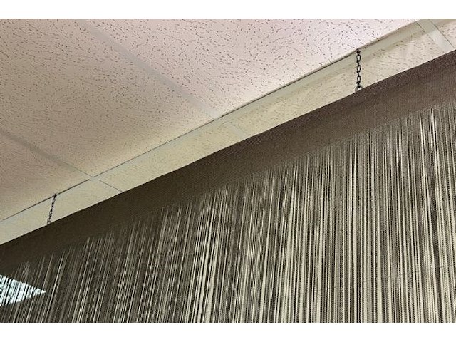 Draadgrodijn - afbeelding 3 van  5