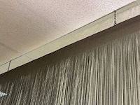 Draadgrodijn - afbeelding 3 van  5