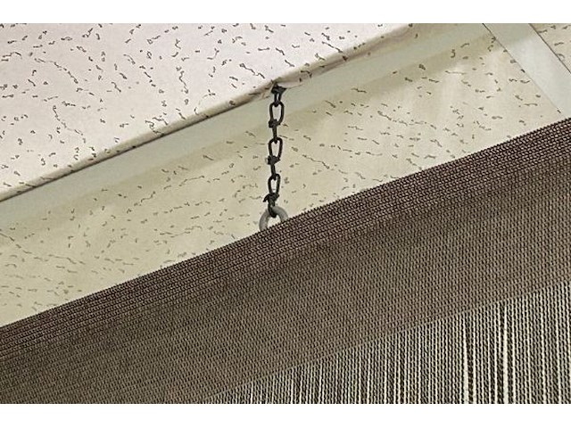 Draadgrodijn - afbeelding 4 van  5