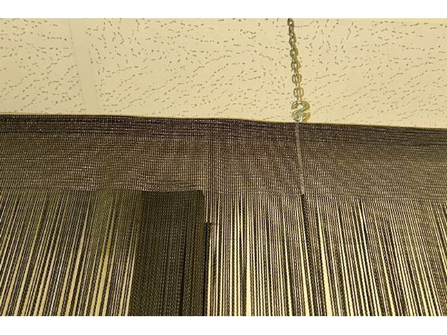 Draadgrodijn - afbeelding 2 van  3