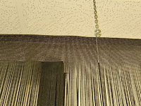 Draadgrodijn - afbeelding 2 van  3