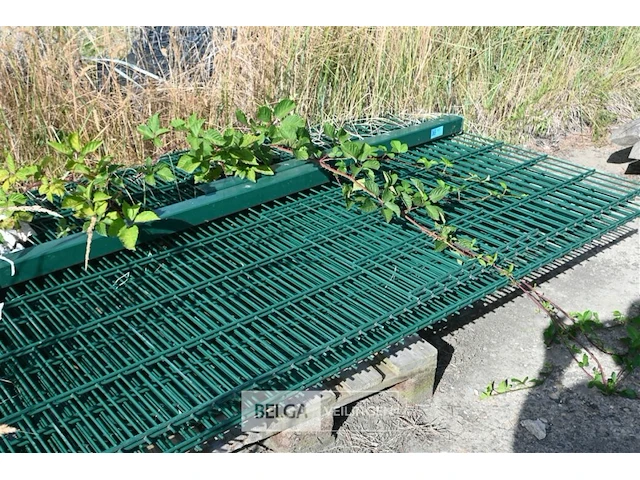 Draadpanelen + poort - afbeelding 3 van  5