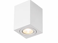 Draaibare led opbouwspot (horoz) – ip20 – frezya-s (10 stuks) - afbeelding 3 van  5