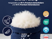 Dreamzie donzen dekbed (200 x 220 cm) - afbeelding 2 van  3