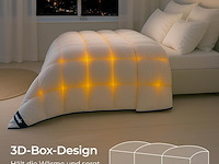 Dreamzie donzen dekbed (200 x 220 cm) - afbeelding 3 van  3