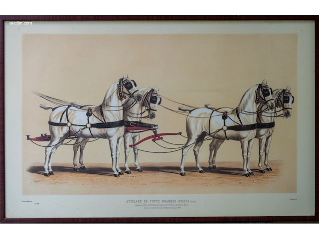 Drie antieke franse kleurenlithografieën van... - afbeelding 1 van  3